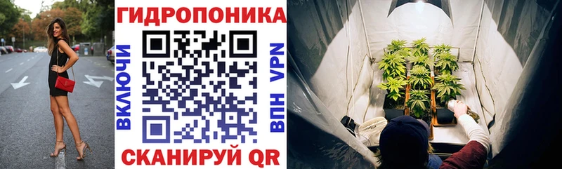Бошки Шишки конопля Горбатов